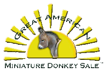 Great American Miniature Donkey Sale